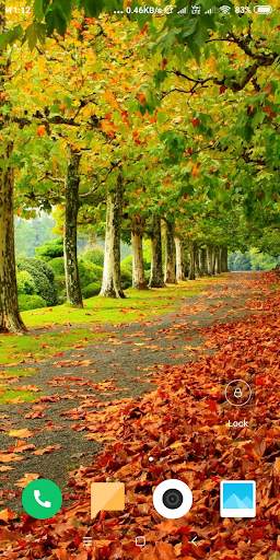 Autumn Wallpaper screenshot 1