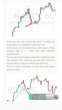 Price Action Trading Guide For Beginners स्क्रीनशॉट 3