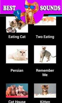 Funny Cat Sounds screenshot 2