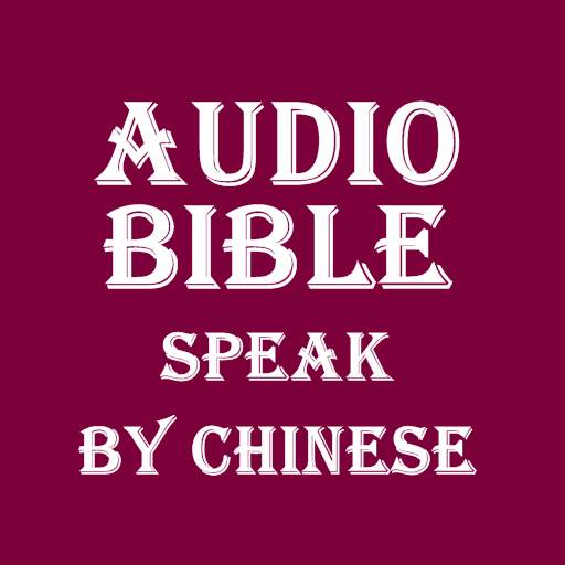 Audio BIBLE 15