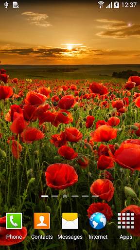 Autumn Flowers Live Wallpaper screenshot 7