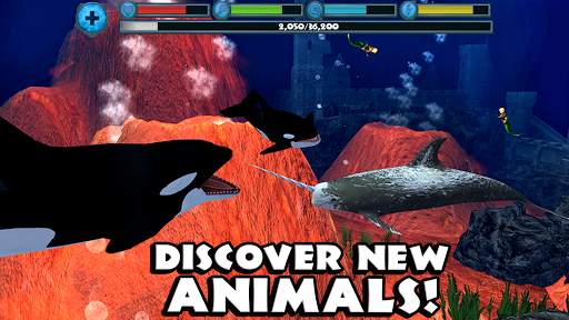 Orca Simulator screenshot 15