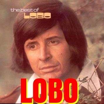 Lobo -  Songs OFFLINE (Song - 32) screenshot 1