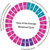 Ovulation Calculator and  App 1.0