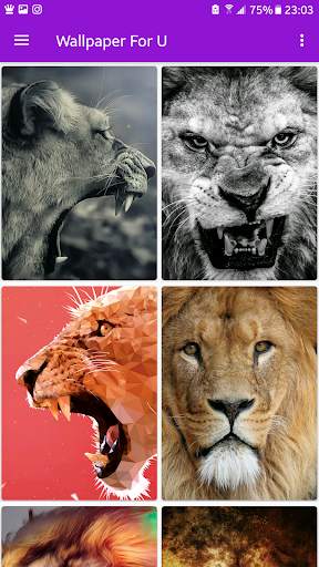 Lion King AMOLED Wallpaper screenshot 3