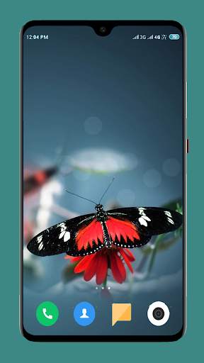 Butterfly Wallpaper 4K screenshot 14