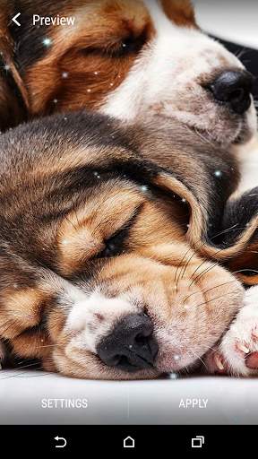 Beagle Live Wallpaper screenshot 4