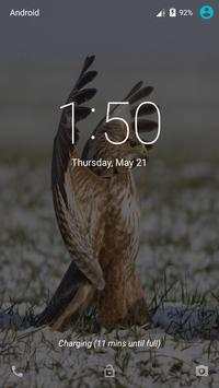 Furious Birds Live Wallpaper screenshot 1