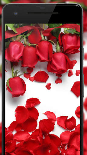 Rose Wallpaper, Floral, Flower background : Rosefy screenshot 2