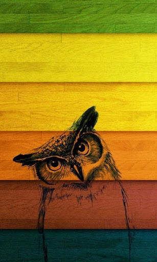 Funny Owl Wallpaper screenshot 18