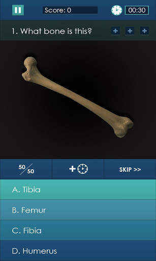 Dr. Girder's Bones screenshot 3