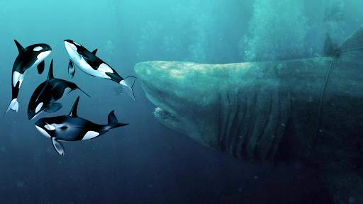 Monster Sharks : Shark Games screenshot 1