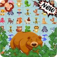 Onet Jungle klasik 2020