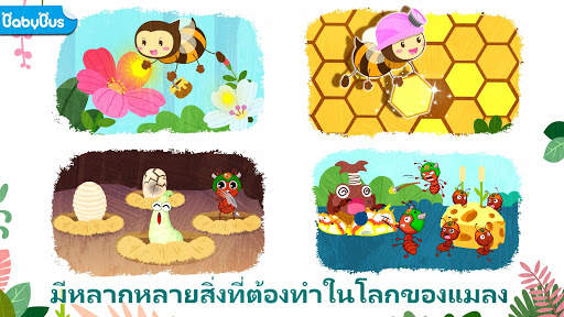 แมลงน่าพิศวงของแพนด้าน้อย screenshot 1