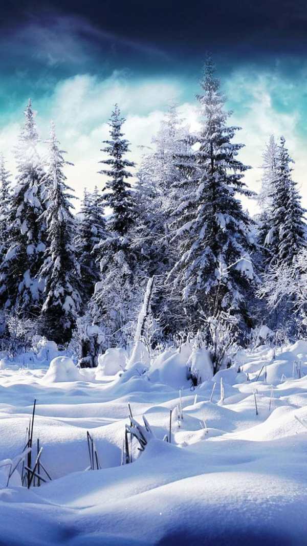 Snow on the Go Live Wallpaper screenshot 2