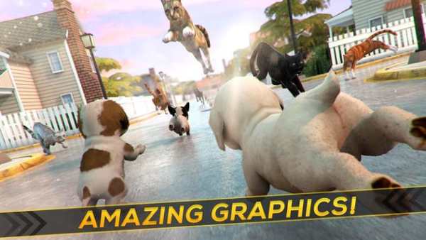 Puppies! Dogs and Cats Game screenshot 8