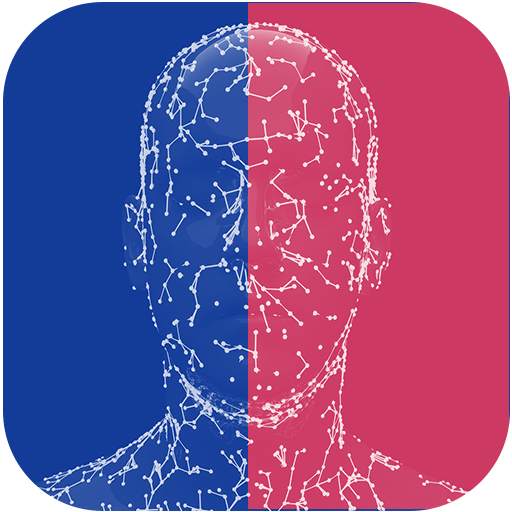 Anti DeepFake 1.1