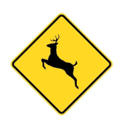 Driving Road Signs 3.0