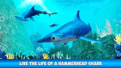 A Shark Survival Games screenshot 4