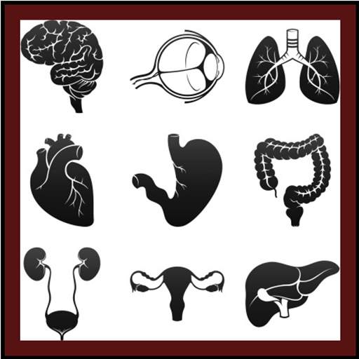 Human Anatomy: Body Parts Guide 1.2