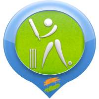 Cricket Terms