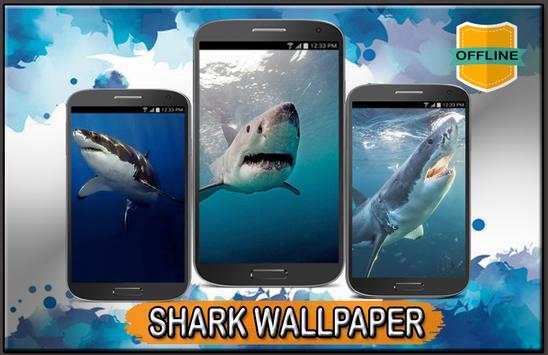 Shark Wallpaper 4K screenshot 3