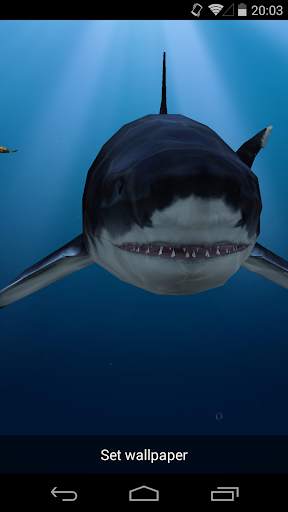 3D Sea Fish Live Wallpaper HD screenshot 4