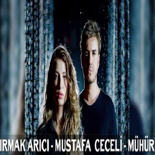 Irmak Arıcı & Mustafa Ceceli Offline screenshot 1