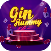 Gin Rummy - How to Play Gin Card Game for Beginner icon
