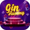 Gin Rummy - How to Play Gin Card Game for Beginner 1.0