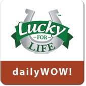 Lucky For Life Lottery icon