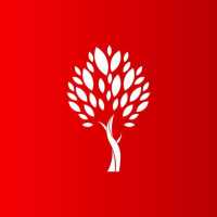 RedTree VPN