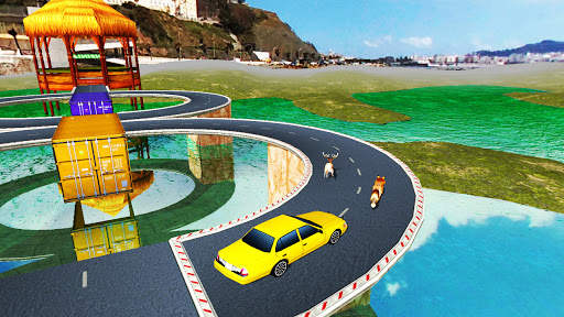 Animals Fun Race 3D screenshot 5