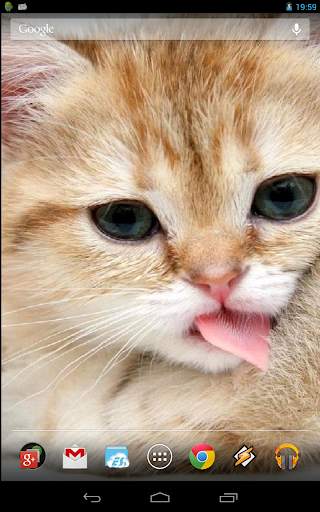 Magic Touch: Fluffy Cat Live Wallpaper screenshot 1