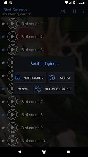 Bird sounds ~ Sboard.pro screenshot 3