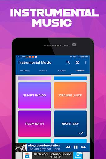 Instrumental Music App 3 تصوير الشاشة