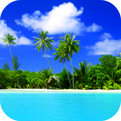 Beach Video Live Wallpaper Gallery icon