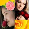 Roses Photo Collage on 9Apps