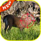Deer Hunter icon
