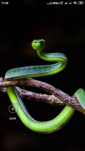Snake Wallpaper screenshot 9