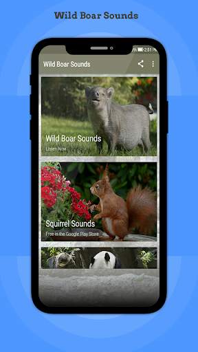 Wild Boar Sounds 3 تصوير الشاشة