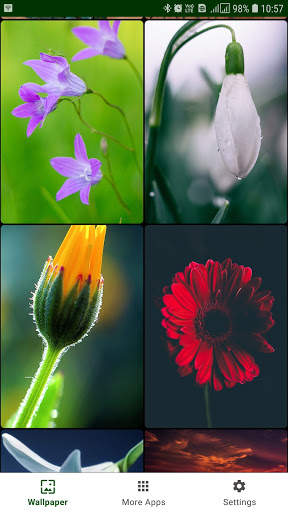 Flower Wallpaper screenshot 1