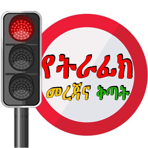 Driving Lesson Amharic скриншот 8