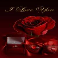 Red Rose Gift LWP on 9Apps
