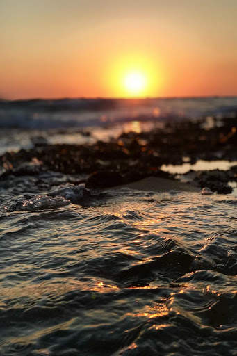 Wave Video Live Wallpaper screenshot 8