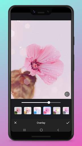 Photo Editor screenshot 4