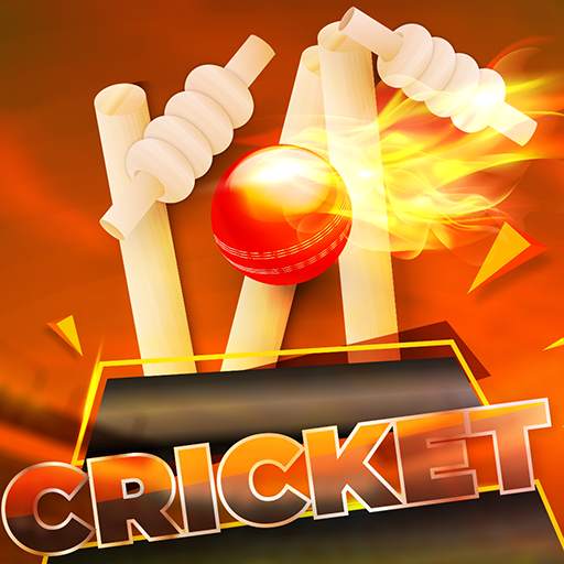 Indian Cricket League 2019: World Premier Cup 1.2