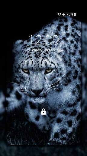 Snow Leopard Wallpaper HD : backgrounds & themes screenshot 2