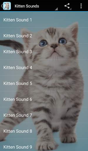 Kitten Sounds 1 تصوير الشاشة