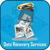 Data Recovery Services 1.0